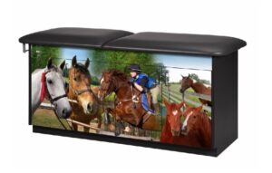 Clinton Adventure Series - Equestrian Treatment Table | 7947